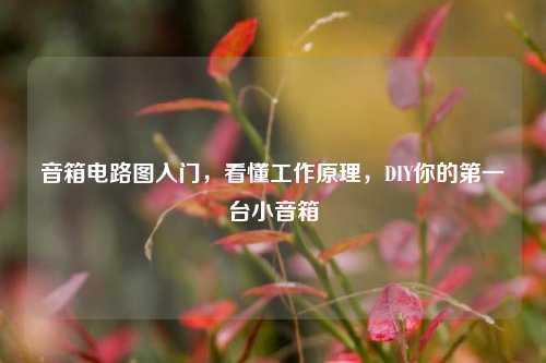 音箱电路图入门,看懂工作原理,DIY你的第一台小音箱