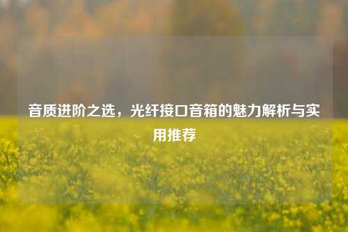 音质进阶之选,光纤接口音箱的魅力解析与实用推荐