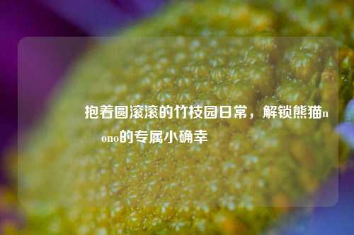 🎋抱着圆滚滚的竹枝园日常，解锁熊猫nono的专属小确幸🐼