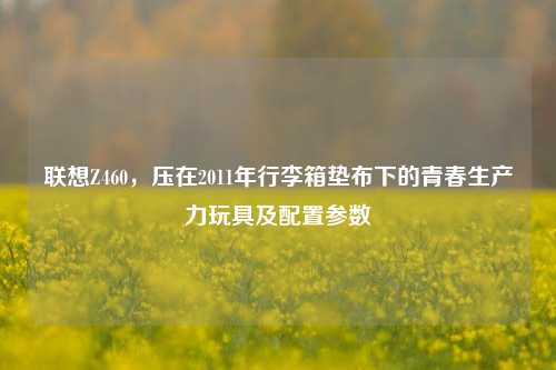 联想Z460,压在2011年行李箱垫布下的青春生产力玩具及配置参数