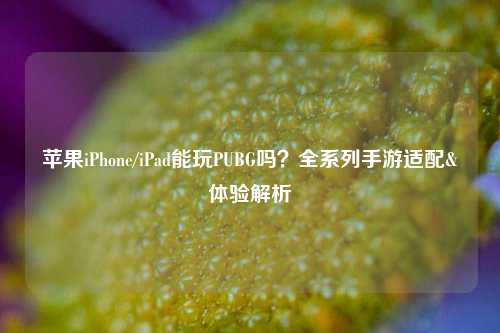 苹果iPhone/iPad能玩PUBG吗?全系列手游适配&体验解析