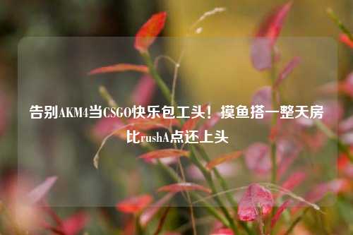 告别AKM4当CSGO快乐包工头!摸鱼搭一整天房比rushA点还上头
