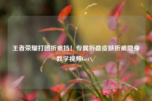 王者荣耀打团折痕挡！专属折叠皮肤折痕隐身教学视频Get√