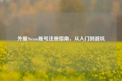 外服Steam账号注册指南，从入门到避坑