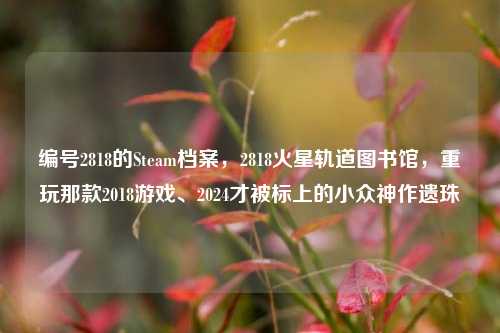 编号2818的Steam档案,2818火星轨道图书馆,重玩那款2018游戏、2024才被标上的小众神作遗珠