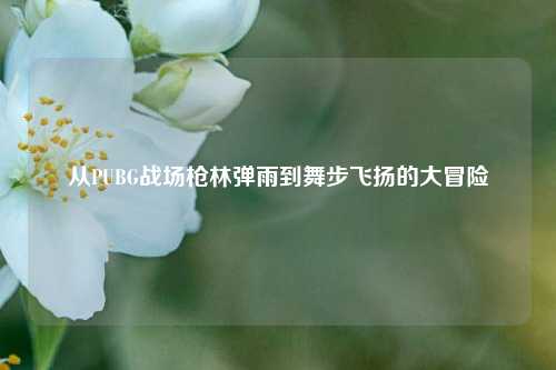 从PUBG战场枪林弹雨到舞步飞扬的大冒险