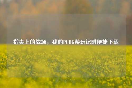 指尖上的战场，我的PUBG游玩记附便捷下载