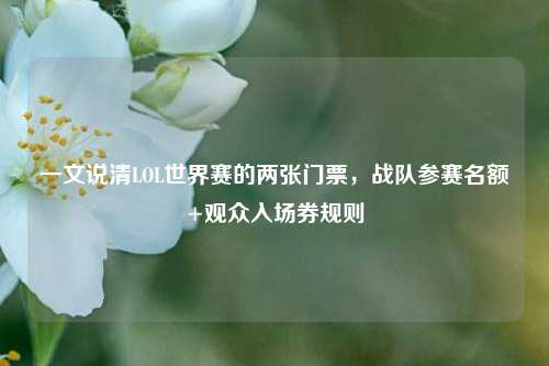 一文说清LOL世界赛的两张门票，战队参赛名额+观众入场券规则