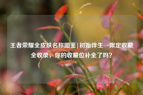 王者荣耀全皮肤名称图鉴|初始伴生→限定收藏全收录,你的收藏位补全了吗?