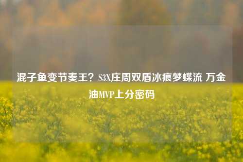 混子鱼变节奏王？S3X庄周双盾冰痕梦蝶流 万金油MVP上分密码