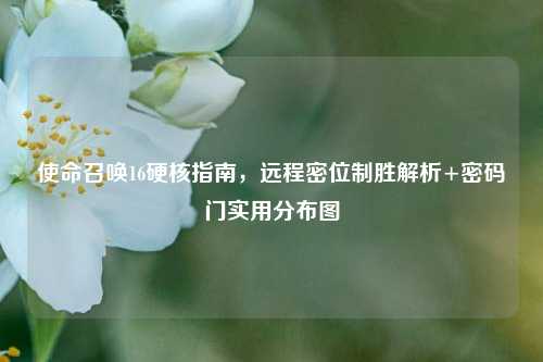使命召唤16硬核指南，远程密位制胜解析+密码门实用分布图