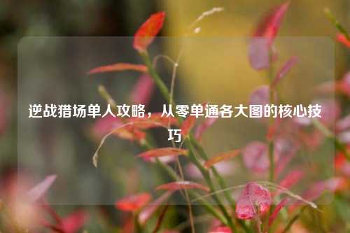 逆战猎场单人攻略,从零单通各大图的核心技巧