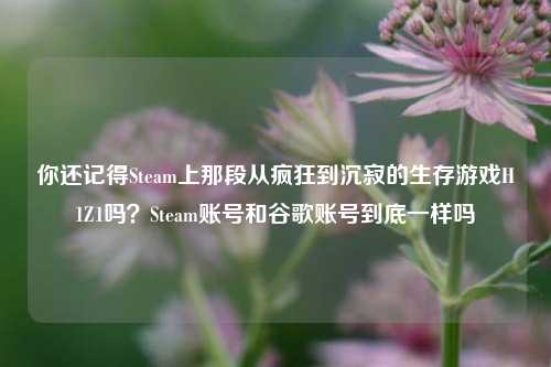 你还记得Steam上那段从疯狂到沉寂的生存游戏H1Z1吗？Steam账号和谷歌账号到底一样吗