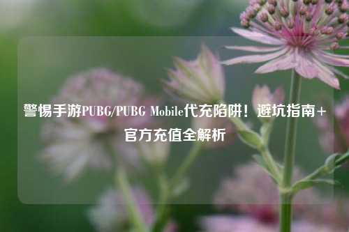 警惕手游PUBG/PUBG Mobile代充陷阱!避坑指南+官方充值全解析