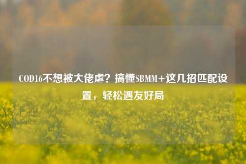 COD16不想被大佬虐？搞懂SBMM+这几招匹配设置，轻松遇友好局