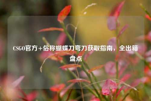 CSGO官方+俗称蝴蝶刀弯刀获取指南,全出箱盘点