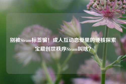 别被Steam标签骗!成人互动恋爱里的硬核探索宝藏创世秩序Steam叫啥?