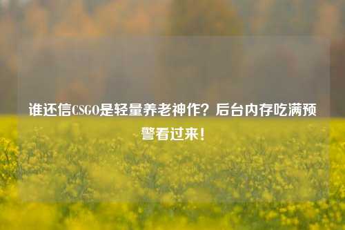 谁还信CSGO是轻量养老神作？后台内存吃满预警看过来！