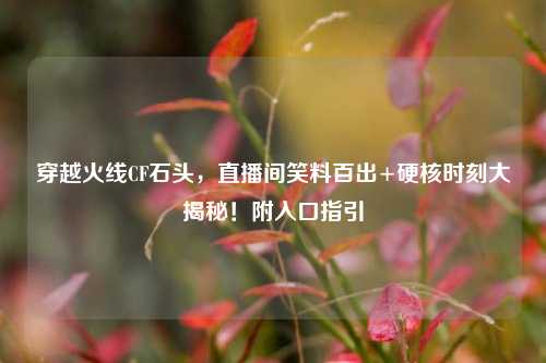 穿越火线CF石头,直播间笑料百出+硬核时刻大揭秘!附入口指引