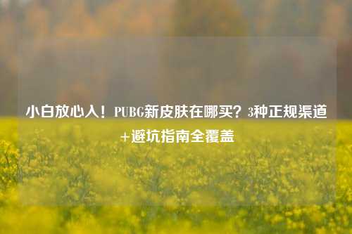 小白放心入！PUBG新皮肤在哪买？3种正规渠道+避坑指南全覆盖
