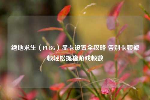 绝地求生（PUBG）显卡设置全攻略 告别卡顿掉帧轻松提稳游戏帧数