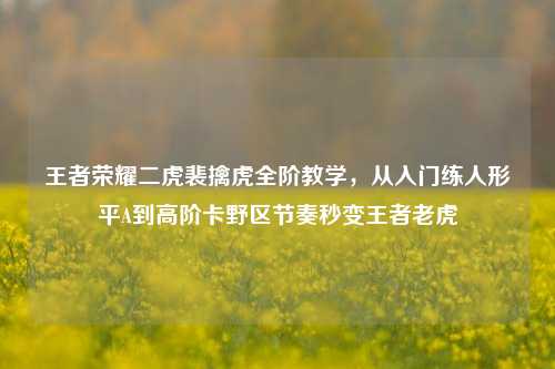 王者荣耀二虎裴擒虎全阶教学，从入门练人形平A到高阶卡野区节奏秒变王者老虎