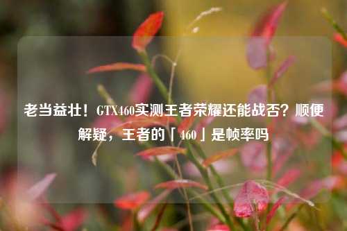 老当益壮!GTX460实测王者荣耀还能战否?顺便解疑,王者的「460」是帧率吗