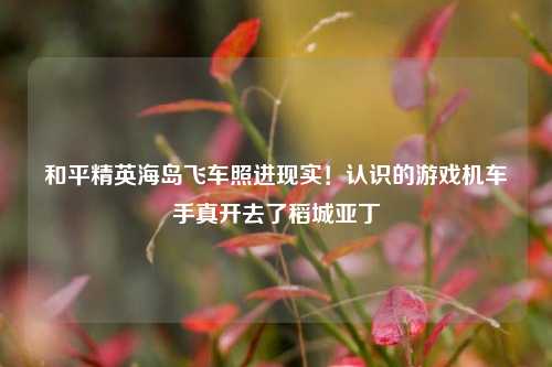 和平精英海岛飞车照进现实!认识的游戏机车手真开去了稻城亚丁