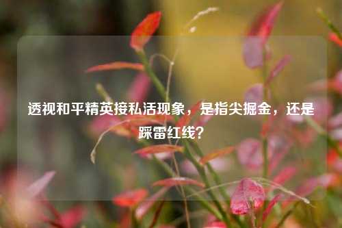 透视和平精英接私活现象，是指尖掘金，还是踩雷红线？