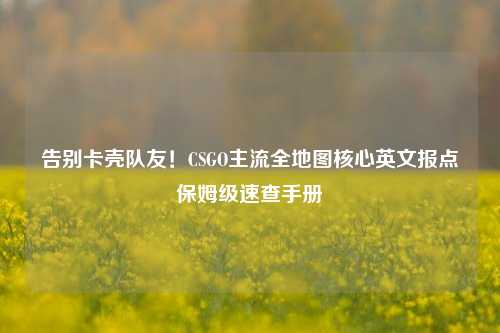 告别卡壳队友！CSGO主流全地图核心英文报点保姆级速查手册