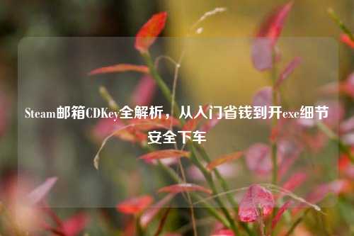 Steam邮箱CDKey全解析，从入门省钱到开exe细节安全下车