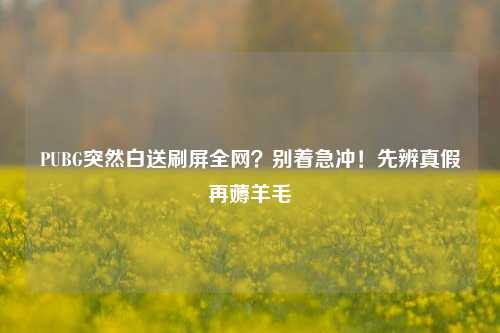 PUBG突然白送刷屏全网?别着急冲!先辨真假再薅羊毛