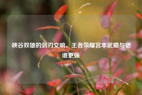 峡谷双雄的剑刃交响，王者荣耀宫本武藏与铠谁更强