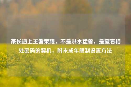 家长遇上王者荣耀,不是洪水猛兽,是藏着相处密码的契机,附未成年限制设置方法