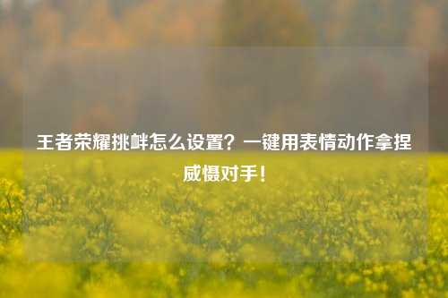 王者荣耀挑衅怎么设置?一键用表情动作拿捏威慑对手!