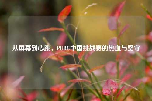 从屏幕到心跳,PUBG中国挑战赛的热血与坚守