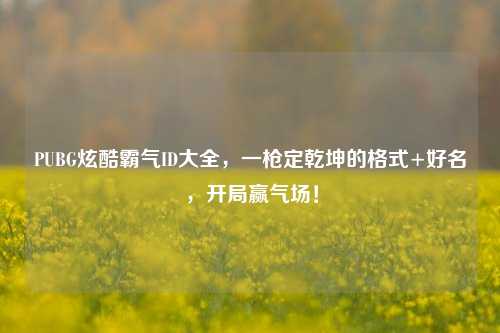 PUBG炫酷霸气ID大全,一枪定乾坤的格式+好名,开局赢气场!