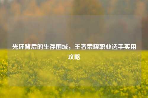 光环背后的生存围城,王者荣耀职业选手实用攻略