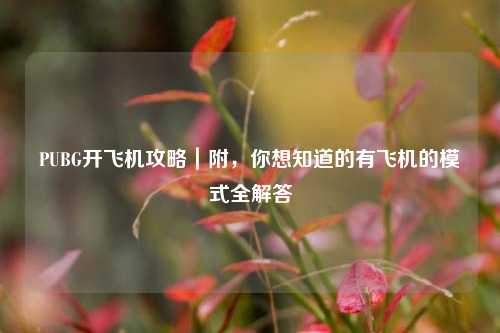 PUBG开飞机攻略|附,你想知道的有飞机的模式全解答