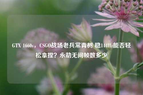 GTX 1660s，CSGO战场老兵常青树 稳144Hz能否轻松拿捏？永劫无间帧数多少