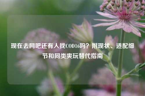 现在去网吧还有人找COD16吗？附现状、适配细节和同类爽玩替代指南