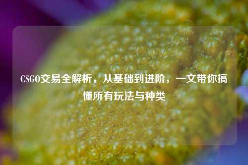 CSGO交易全解析，从基础到进阶，一文带你搞懂所有玩法与种类