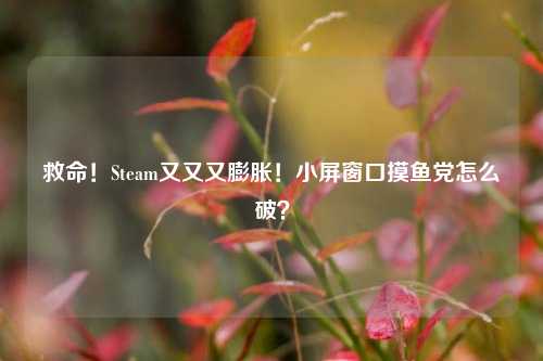救命！Steam又又又膨胀！小屏窗口摸鱼党怎么破？