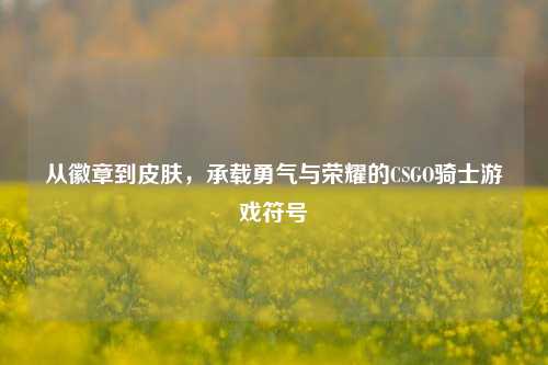 从徽章到皮肤，承载勇气与荣耀的CSGO骑士游戏符号