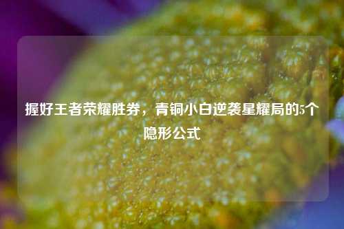 握好王者荣耀胜券，青铜小白逆袭星耀局的5个隐形公式