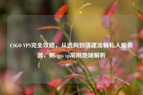 CSGO VPS完全攻略,从选购到搭建流畅私人服务器,附csgo vp常用地域解析