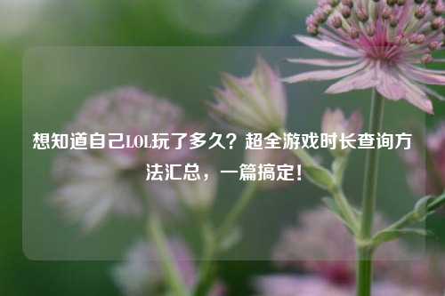 想知道自己LOL玩了多久？超全游戏时长查询方法汇总，一篇搞定！
