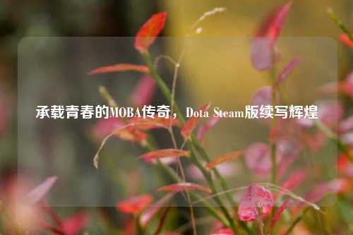 承载青春的MOBA传奇,Dota Steam版续写辉煌