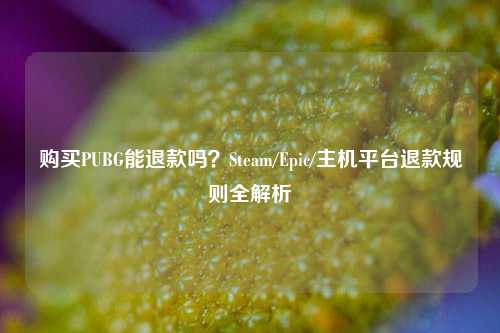 购买PUBG能退款吗？Steam/Epic/主机平台退款规则全解析