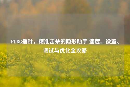 PUBG指针，精准击杀的隐形助手 速度、设置、调试与优化全攻略